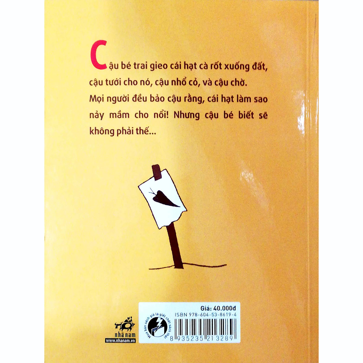 Hạt Giống Cà Rốt
