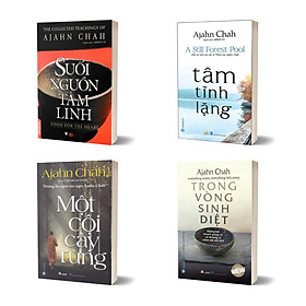 Sách Combo Một Cội Cây Rừng + Trong Vòng Sinh Diệt + Tâm Tĩnh Lặng + Suối Nguồn Tâm Linh