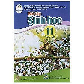 Bài Tập Sinh Học 11 (Cánh Diều) (2023)