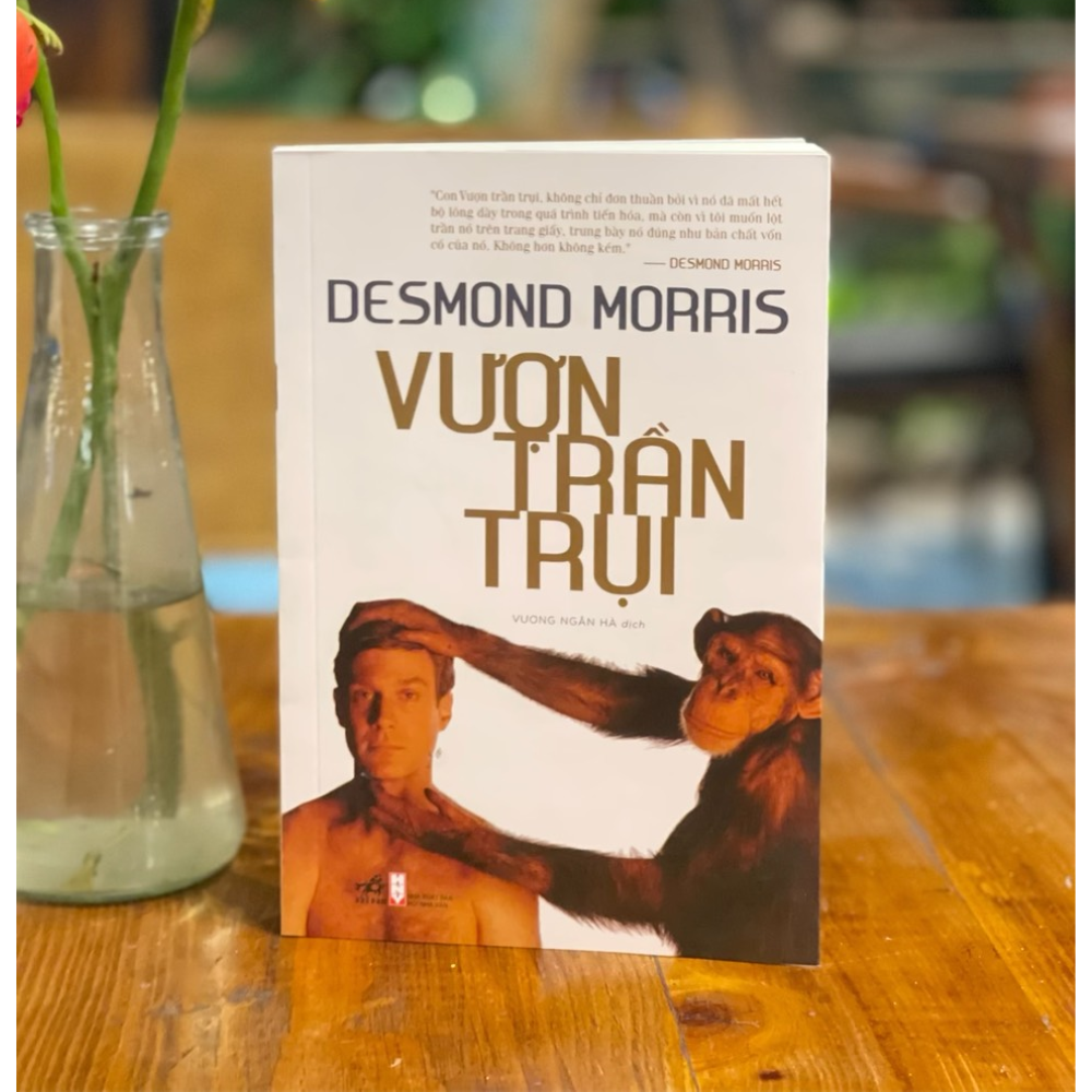 Vượn Trần Trụi
