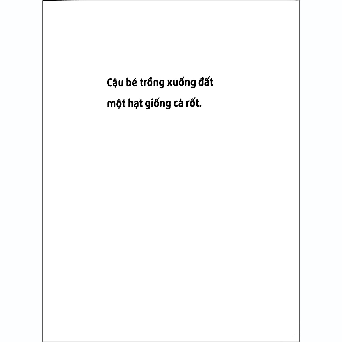 Hạt Giống Cà Rốt