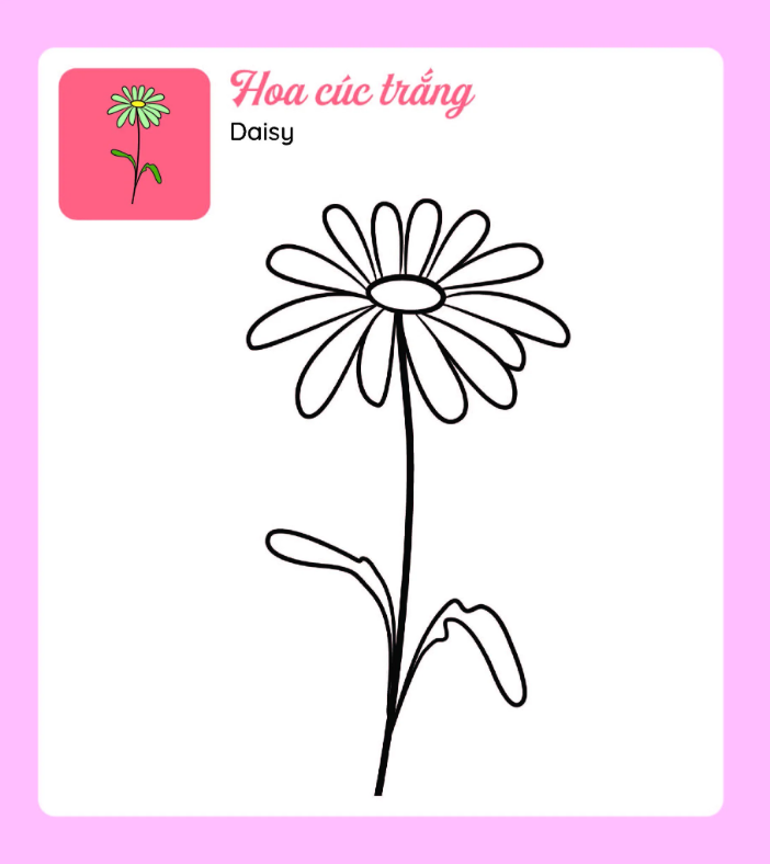 Tớ Tự Tô: Những Bông Hoa Xinh