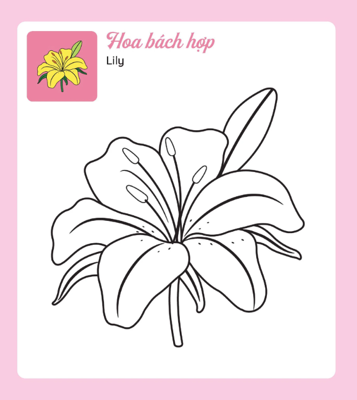 Tớ Tự Tô: Những Bông Hoa Xinh