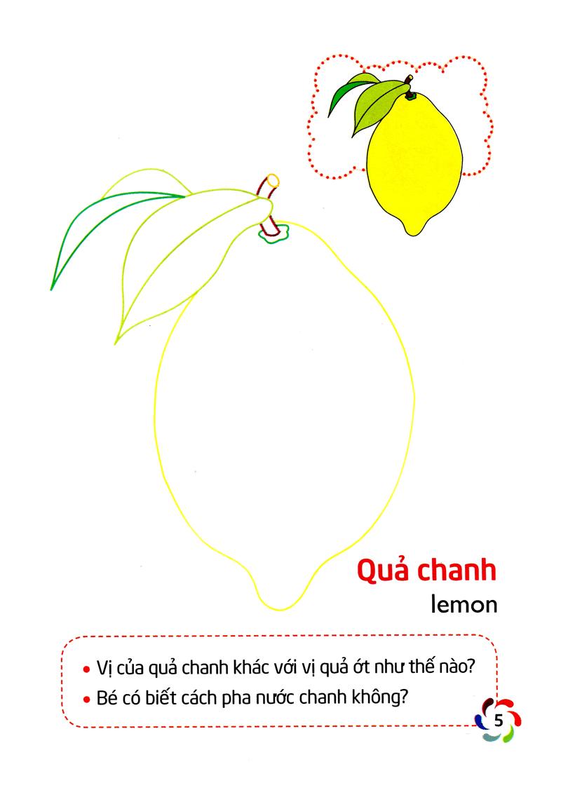 Tập Tô Màu Và Nhận Biết Thế Giới Xung Quanh - Các Loại Quả