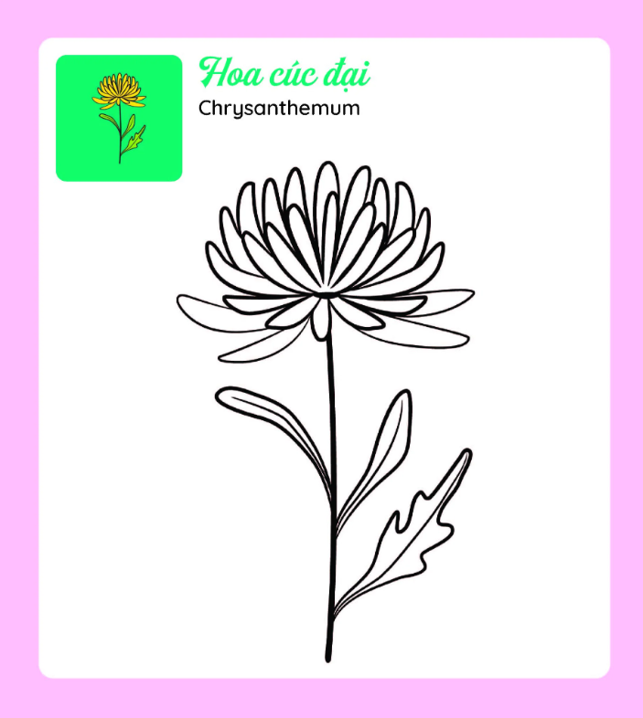 Tớ Tự Tô: Những Bông Hoa Xinh