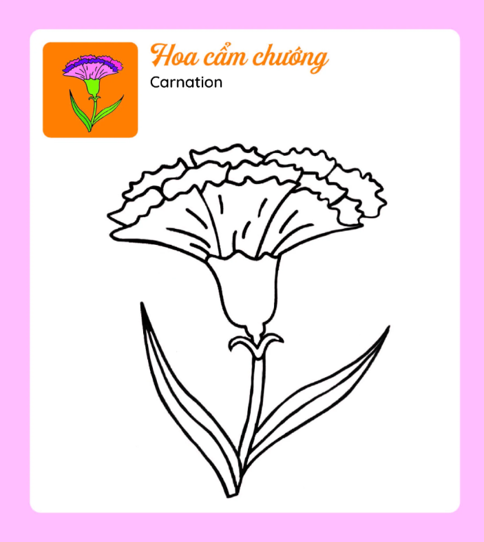 Tớ Tự Tô: Những Bông Hoa Xinh