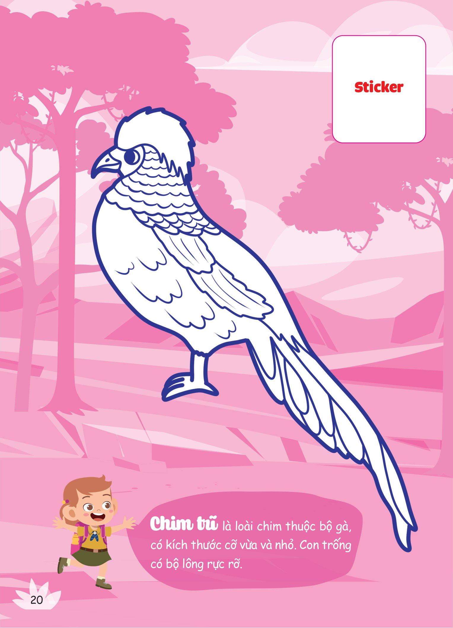 Con Tô Màu - Thám Hiểm Rừng Nhiệt Đới