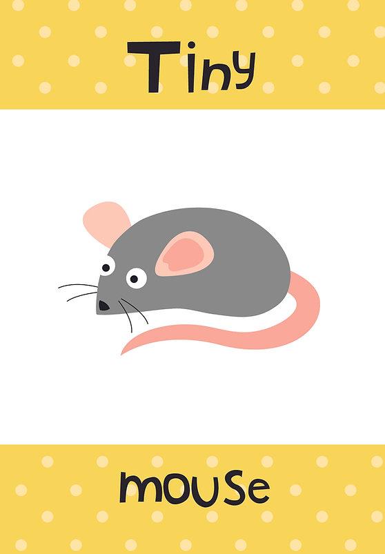 Flash Cards - Early Learning Green (25 Cards)