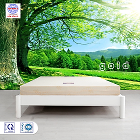 Nệm foam Đông Á Gold Tundo 