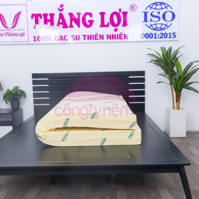 Nệm cao su non TL Tundo 