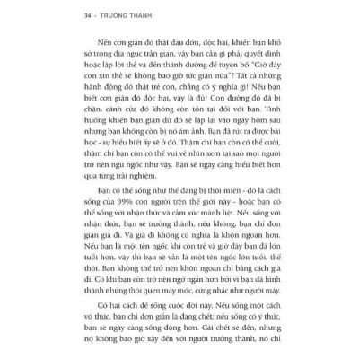 Osho - Trưởng Thành - Chạm Tới Bầu Trời Nội Tâm Của Bạn - Bìa mềm - First News
