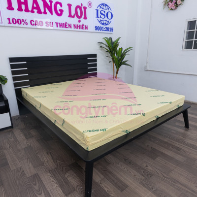 Nệm cao su non TL Tundo 