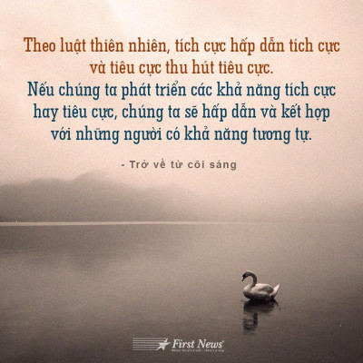 Sách - Trở Về Từ Cõi Sáng Nguyên Phong - First News