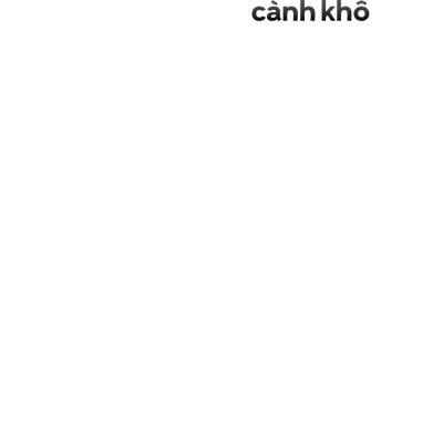 Lũ Chim Thích Chọn Cành Khô - Văn Học Tuổi 20