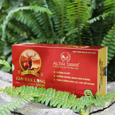 Cao Ban Long Sibiri - Hỗ trợ bổ huyết, dưỡng xương. hỗ trợ tăng cường sinh lực - SX tại nhà máy đạt tiêu chuẩn GMP