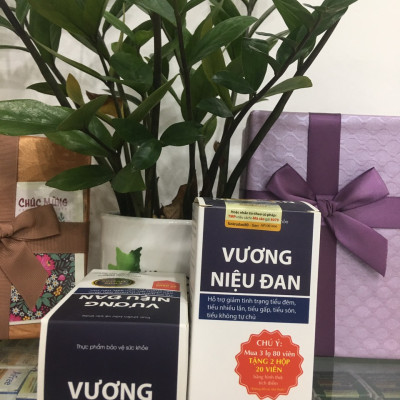 Vương Niệu Đan- giảm kích thích bàng quang, giảm tiểu đêm