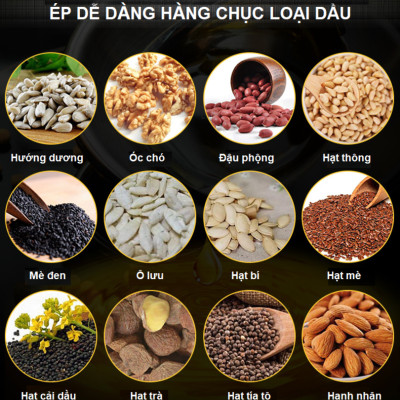 Máy ép dầu thực vật nóng và lạnh thương hiệu cao cấp AOSIDA 888A - Công suất cực đại: 1000W - Hàng Nhập Khẩu
