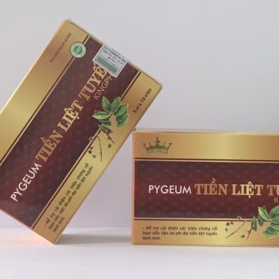 Viên Hỗ Trợ Giảm Tăng Sinh Tuyến Tiền Liệt PYGEUM Kingphar 30 Viên-Phòng và hỗ trợ bệnh phình to tuyến tiền liệt