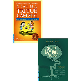 Combo Giải Mã Trí Tuệ Cảm Xúc + Sao Ta Làm Điều Ta Làm (Bộ 2 Cuốn) _FN