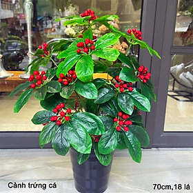 Cây kim ngân lượng giả - Size từ 70cm đến 160cm - Cây giả, hoa lụa Decor trang trí nhà cửa
