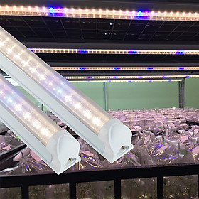 Đèn LED Trồng Cây và Quang Hợp Cho Cây Trong Nhà, Đủ Phổ Như Ánh Sáng Tự Nhiên, Chính Hãng Rạng Đông, Bảo Hành 2 Năm.