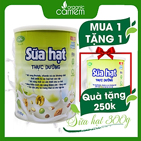 SỮA HẠT THỰC DƯỠNG SOYNA - SỮA SOYNA TỪ 10 LOẠI HẠT - BỔ SUNG CANXI - PROTEIN CHO NGƯỜI ĂN CHAY, NGƯỜI BỊ TÁI THÁO ĐƯỜNG, CHO MẸ BẦU, CHO TRẺ NHỎ TỪ 3 TUỔI. SỮA CANXI THỰC VẬT DỄ TIÊU HÓA, DỄ HẤP THỤ