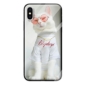 Ốp kính cường lực cho iPhone XS MÈO 125 - Hàng chính hãng