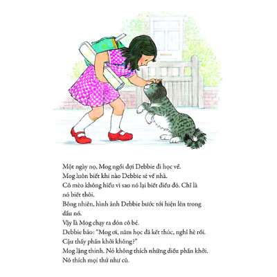 Mèo Mog Mập