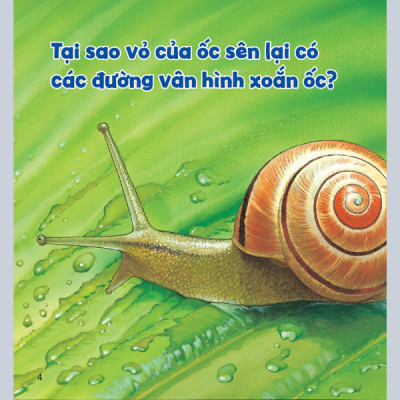 Wow, thì ra là thế! - Cơ thể của động vật