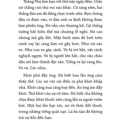 Bí Mật Của Bóng Tối - Văn Học Tuổi 20