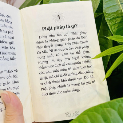Sách - Phật pháp trong đời sống thường ngày - Hòa thượng Thánh Nghiêm - Vĩnh nghiêm Books