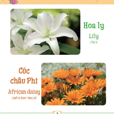 Từ Điển Bằng Tranh Dành Cho Trẻ Em - Các Loài Hoa