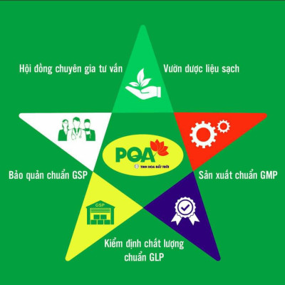 Đinh Hương Tai Hồng PQA Giúp Ấm Dạ, Giáng Khí Dùng Cho Trẻ Nhỏ Và Người Già Nôn Trớ, Nấc, Nghẹn, Buồn Nôn Chai 125ml