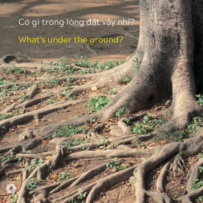 Song Ngữ Việt Anh - Khám Phá Thế Giới - Trong Lòng Đất - Under The Ground