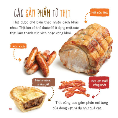 Healthy Eating - Ăn Uống Lành Mạnh - Thịt Và Cá