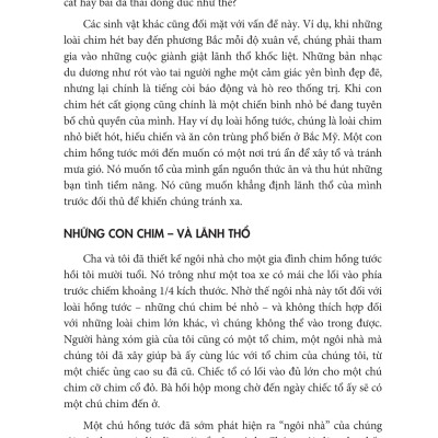12 Quy Luật Cuộc Đời: Thần Dược Cho Cuộc Sống Hiện Đại