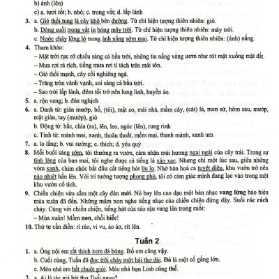 Vở Bài Tập Nâng Cao Từ Và Câu Lớp 5 (Dùng Chung Cho Các Bộ SGK Hiện Hành) - 