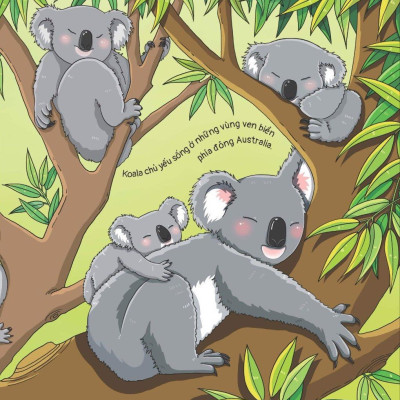 Thế Giới Động Vật - Gấu Koala Biết Chơi Đàn Ghi-Ta Không?