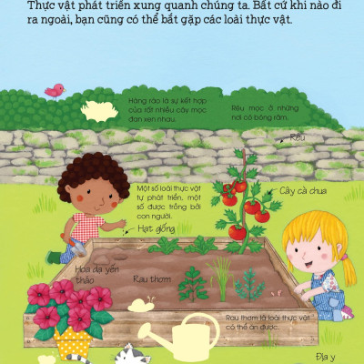 Thế Giới Trong Tay Em - Sự Sinh Trưởng Của Vạn Vật