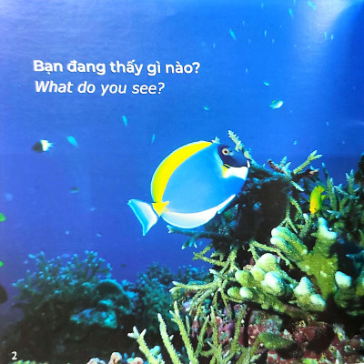 Gõ Cửa Thiên Nhiên Bài Ca Biển Cả: Học Đếm_The Song From The Sea