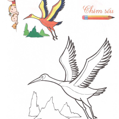 Tô Màu - Mẫu Giáo - Các Loài Chim