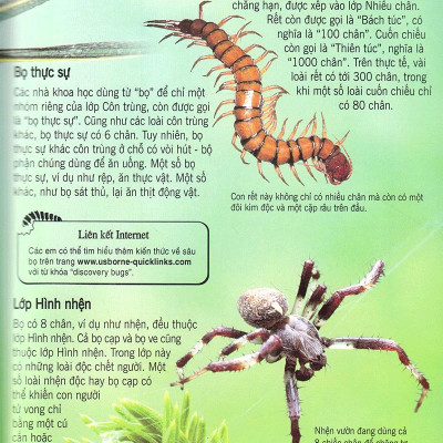 Bách Khoa Tri Thức Về Khám Phá Thế Giới Cho Trẻ Em - Các Loài Sâu Bọ (Tái Bản)