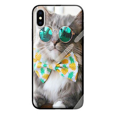 Ốp kính cường lực cho iPhone XS MÈO 121 - Hàng chính hãng