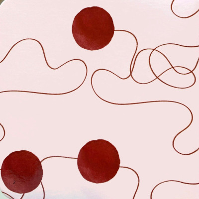 Amazing Transformations - The Red Bubble - Bìa Cứng