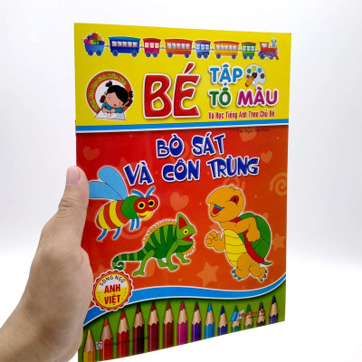 Bé Tập Tô Màu Và Học Tiếng Anh Theo Chủ Đề - Bò Sát Và Côn Trùng
