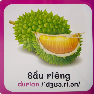 Từ Điển Bằng Hình Đầu Tiên Của Bé - Baby