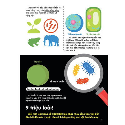 Infographics - Bách khoa tri thức bằng đồ họa cho trẻ em
