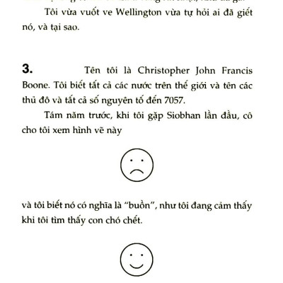 Bí Ẩn Về Con Chó Lúc Nửa Đêm (Tái Bản 2019)