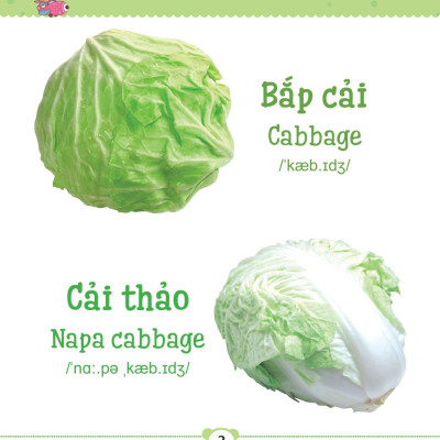 Từ Điển Bằng Tranh Dành Cho Trẻ Em - Rau Củ