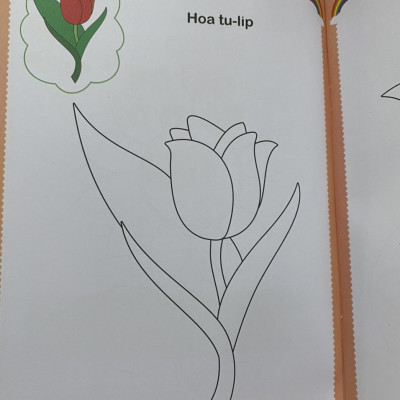 Quà cho bé : Bé tập tô màu : Các loài hoa